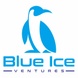 Blue Ice Ventures