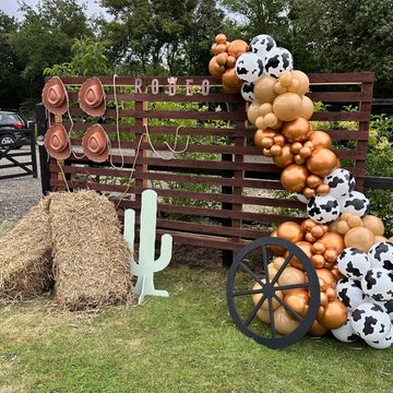 Themed balloon display 
