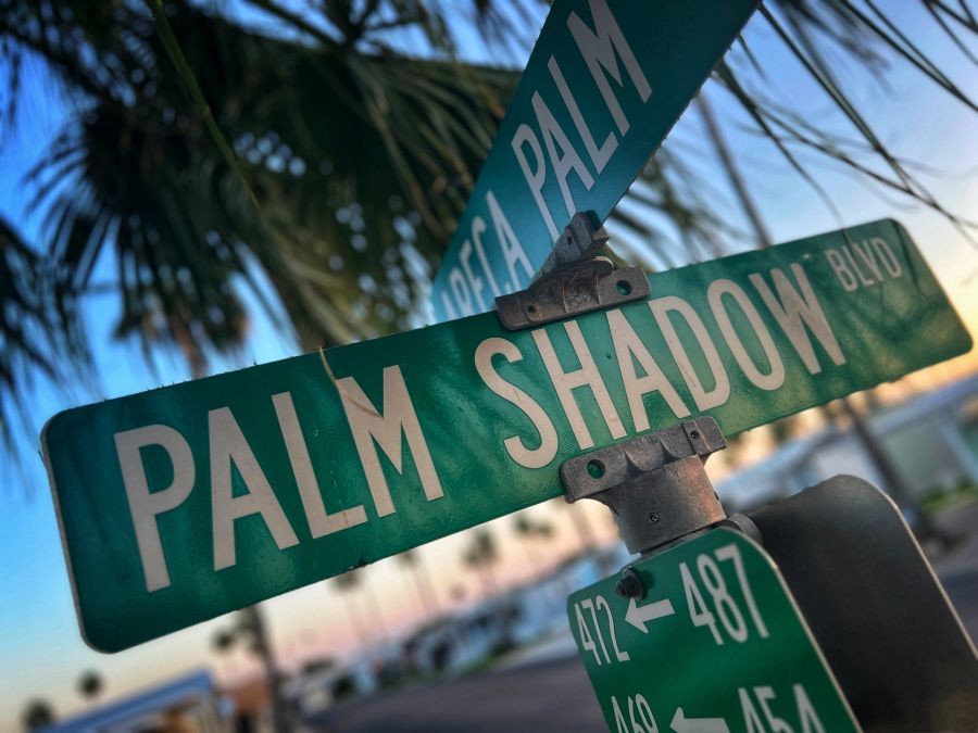 Palm Shadows RV Park RV park in Donna, TX (photo 4)