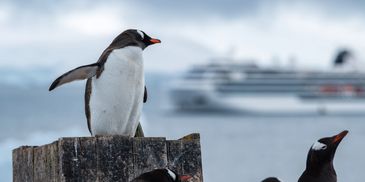 VIKING CRUISES OFFER -CHOOSE ONBOARD CREDIT OR THE SILVER SPIRTS PACKAGE!