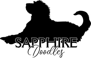 Sapphire Doodles
Aldie, Virginia