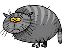 Sausage Kat