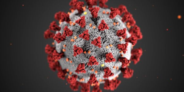 Covid-19 Virus depiction