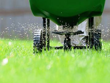 seeding