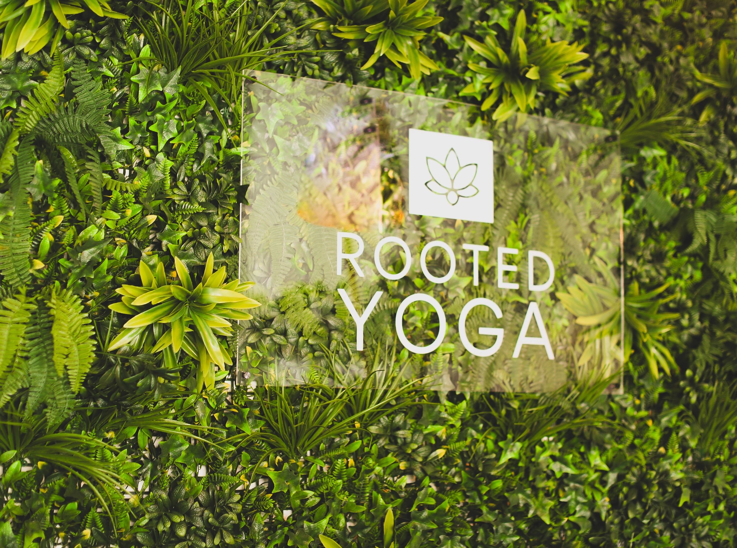 Rooted Yoga - Yoga Classes - Wappingers Falls, New York