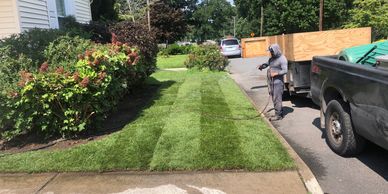 Grass installation at egg harbor city