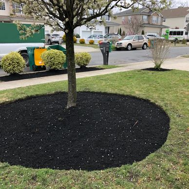 Mulching services at galloway 