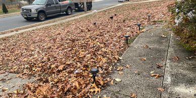Leaves cleanup , fall cleanup 