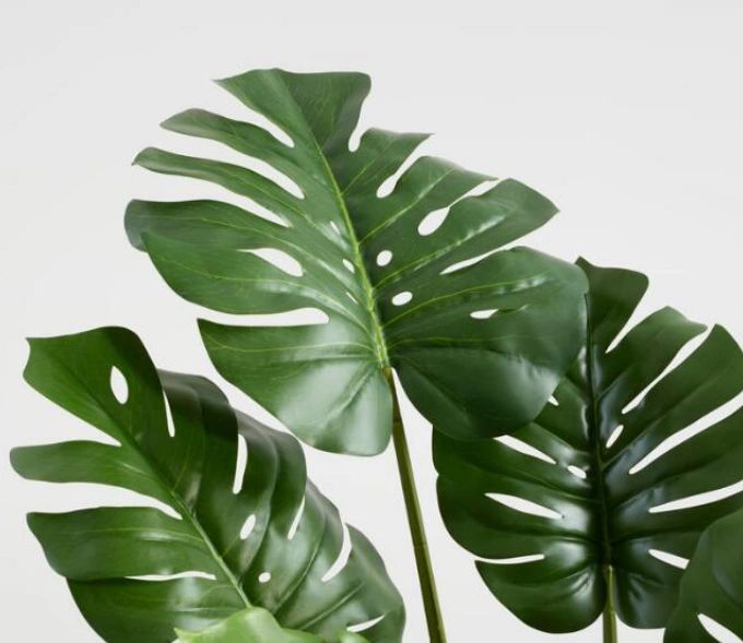 The Best MustHave Faux House Plants