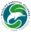 Wildlife Survival Alliance