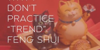 Text about Feng Shui with cat figurines in the background.
