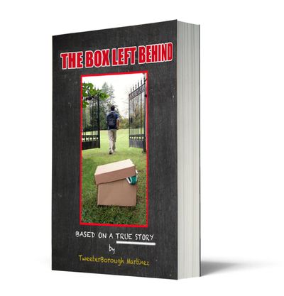 TweeterBoroughs first novel The box left behind