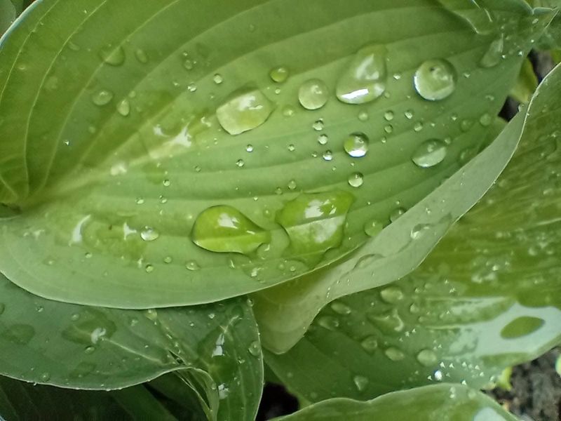 At Raindrops and Success Life Coaching LLC, your journey to self-improvement begins with discovering your unique strengths. Personal development coaching services are tailored to help you set achievable goals, tear down barriers, and implement effective success strategies. Together, we create a roadmap for your aspirations and transform your visions into reality.