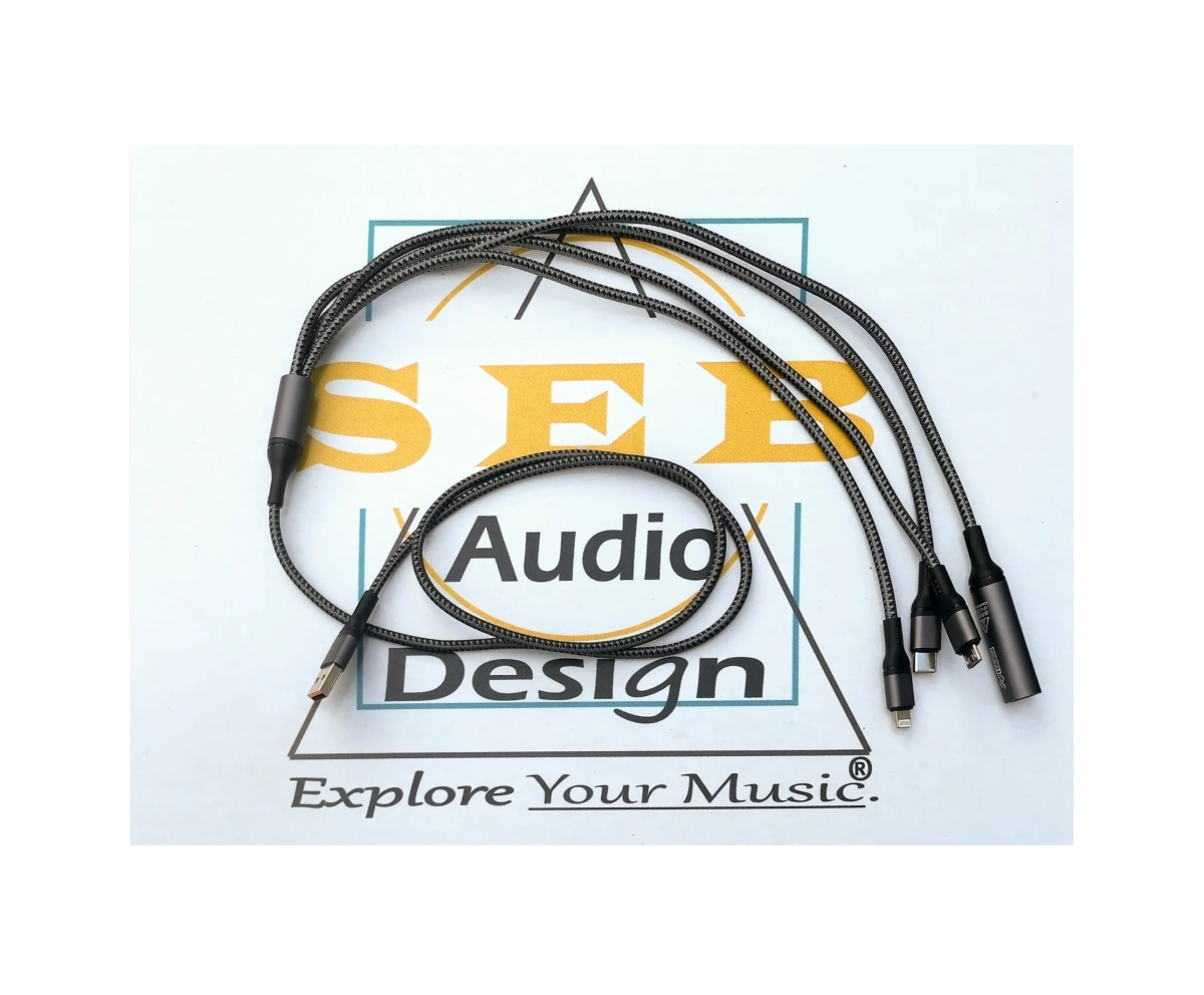 Electronic Accessories Electronic accessories
