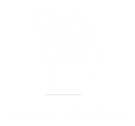 BLACK ENIGMA