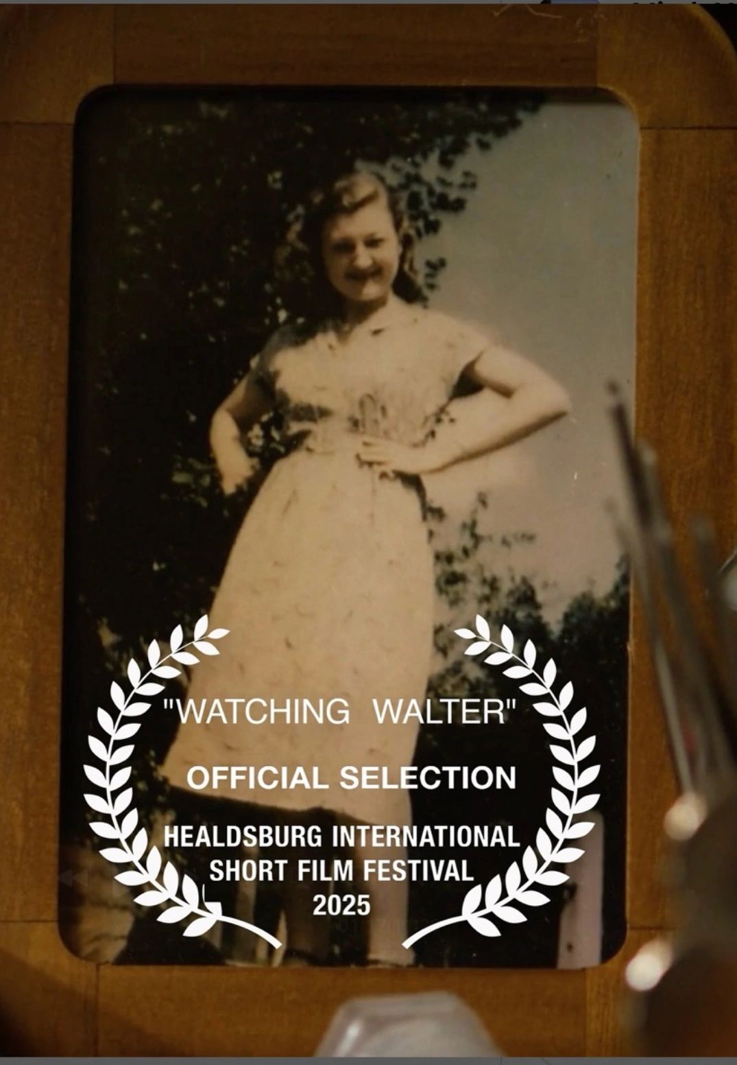 HEALDSBURG FILM FESTIVAL