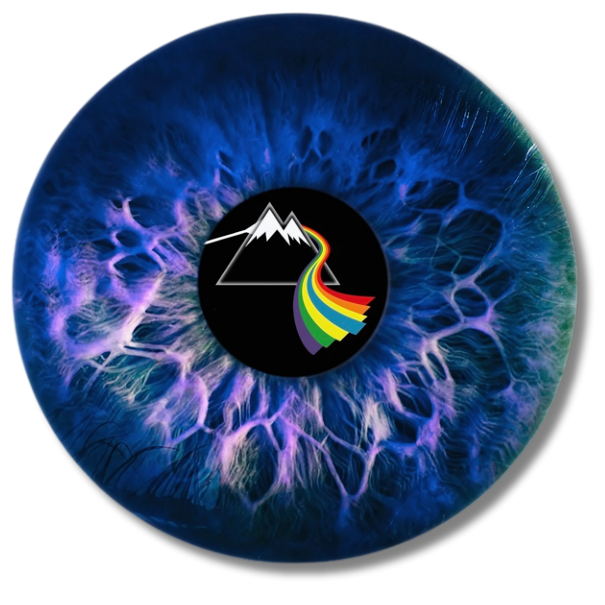 A pink floyd experience