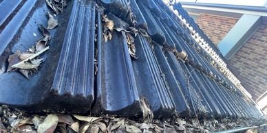 Roof with gutter full of leaves needing a Gutter Cleaning in Sydney