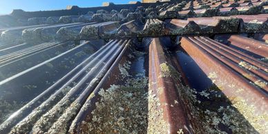 Roof full of algae needing an Expert Roof Cleaning