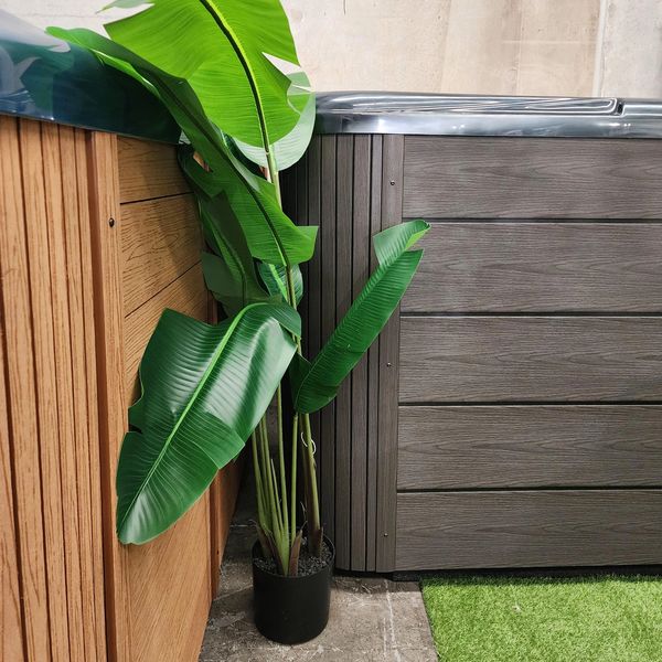 A lush green potted plant beside wooden and composite panel walls.
