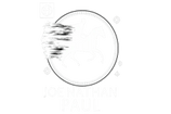 Joe Nathan Paul | THriller Author