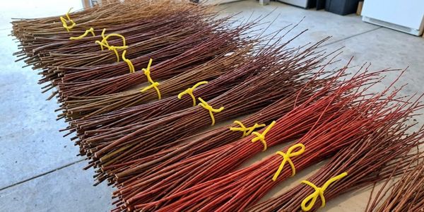 Fresh willow branches from Cincy Chestnuts ready for shipping to Raleigh, North Carolina.