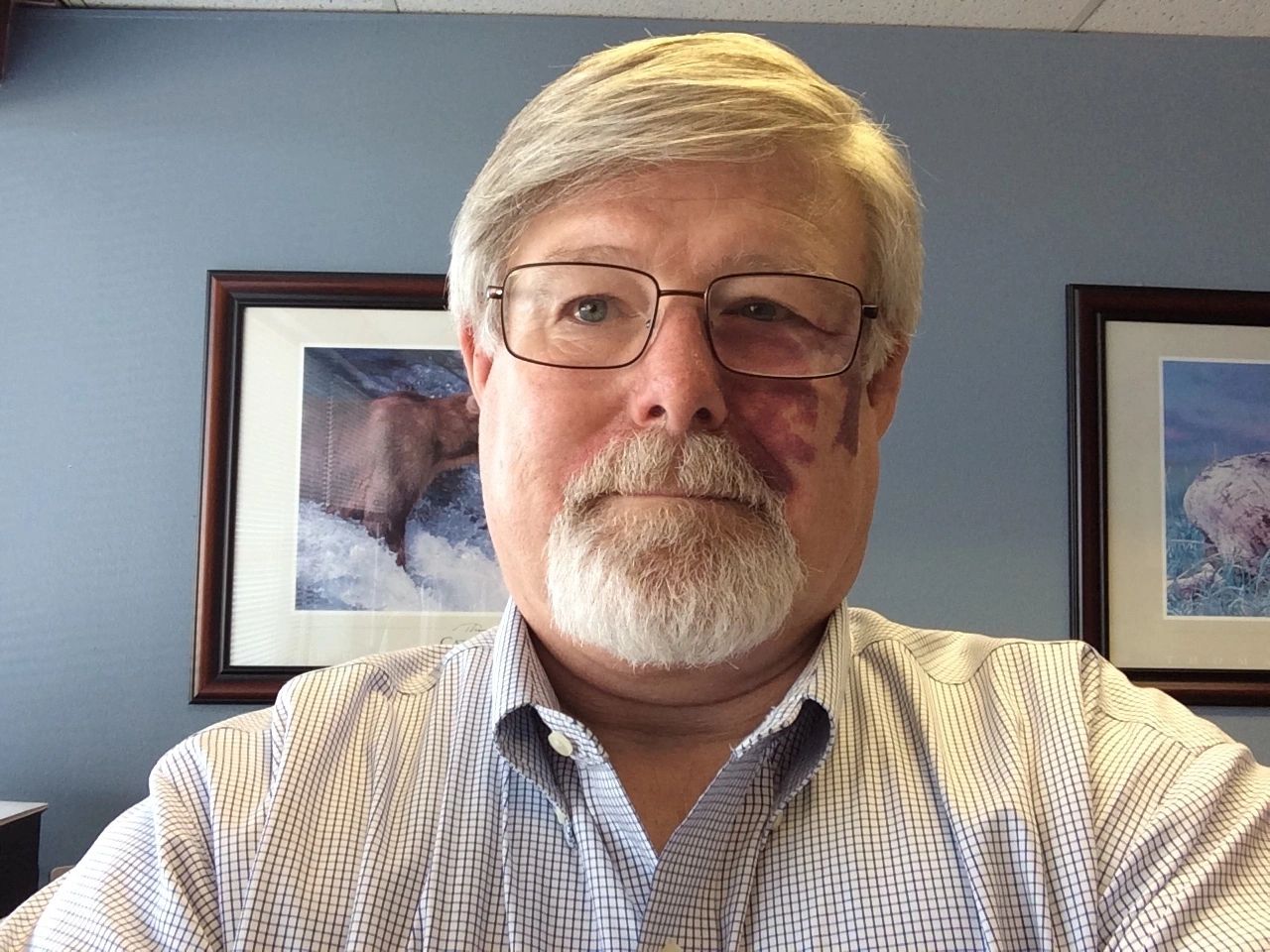 Bhajans thesis chris hale 03 picture