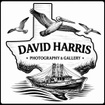 Immerse Yourself in The Beauty Of The Coastal Area and Texas.