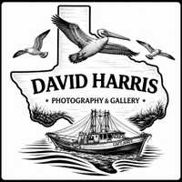 Immerse Yourself in The Beauty Of The Coastal Area and Texas.