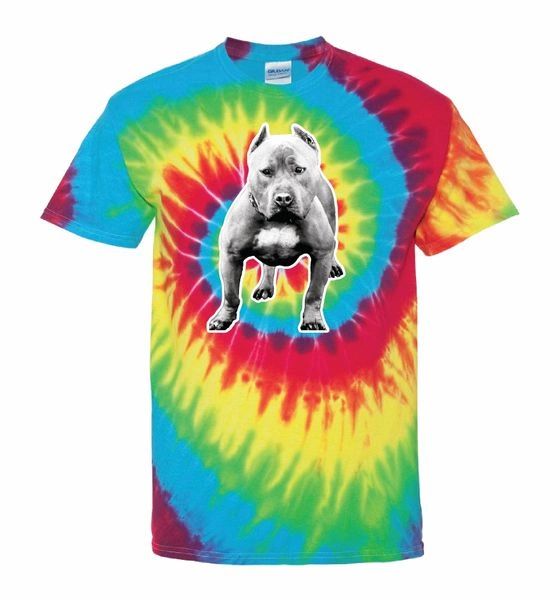 Apparel - tie-dye (Rhino blast from the past) t-shirt