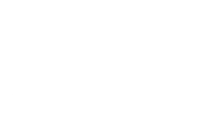 Logo featuring a vintage aircraft with American flag backdrop and Bravo 369 Flight Foundation text.