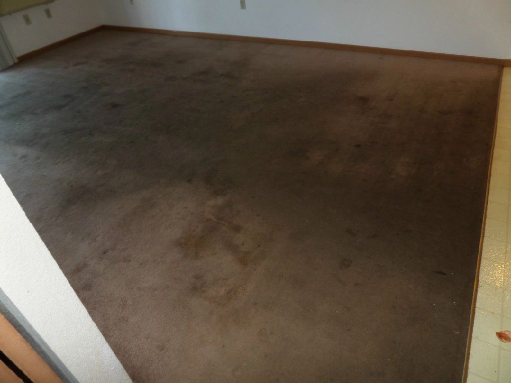 Xtreme Carpet Cleaning Fond du Lac wisconsin 54935