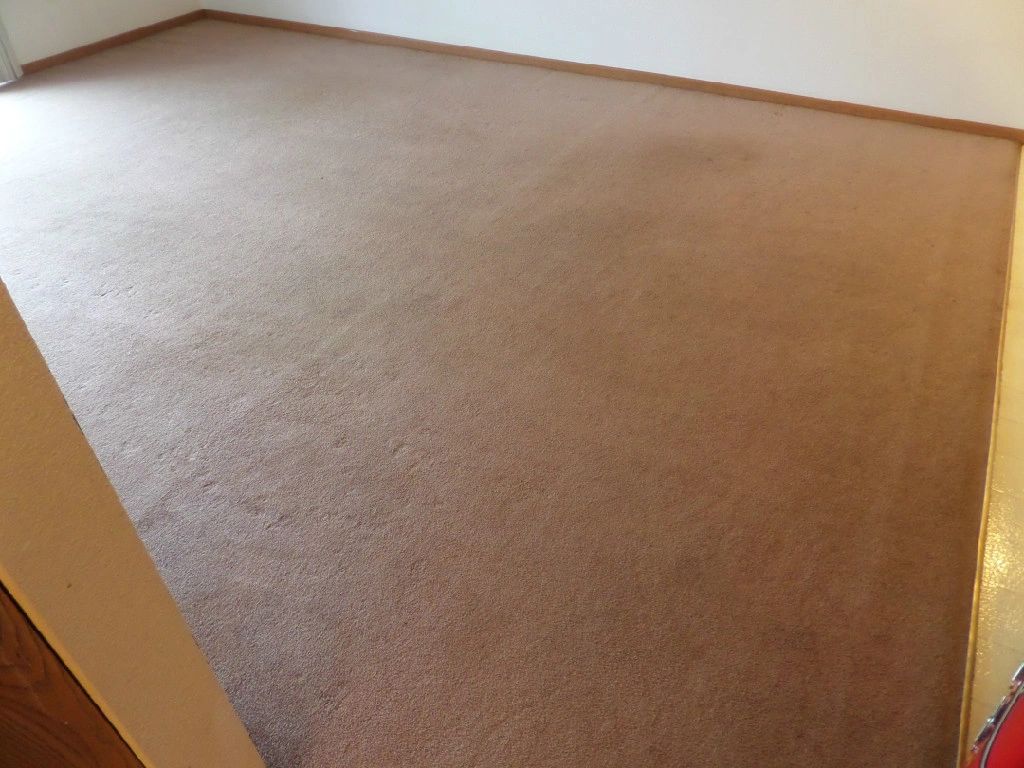 Xtreme Carpet Cleaning Fond du Lac wisconsin 54935