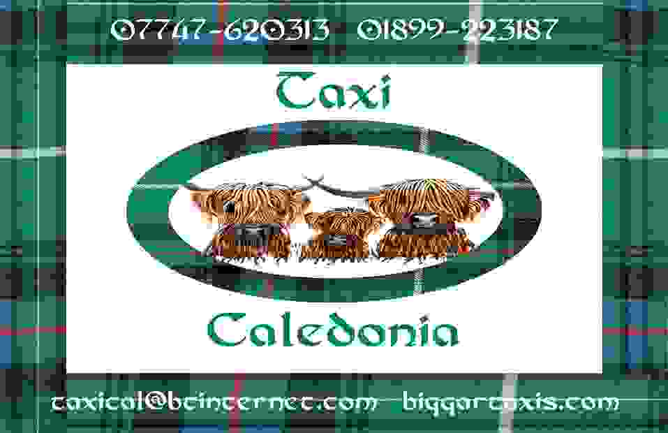 Taxi Caledonia Business Card