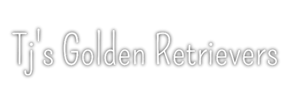 TJS Golden Retrievers
