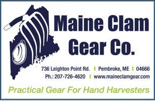 Maine Clam Gear