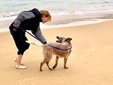 Dr Lloyd & Ollie the rescue Cattle Dog