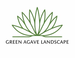 Green Agave Landscape