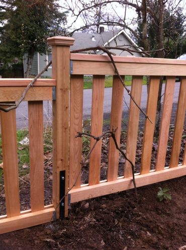 Cedar picket fence with top cap board