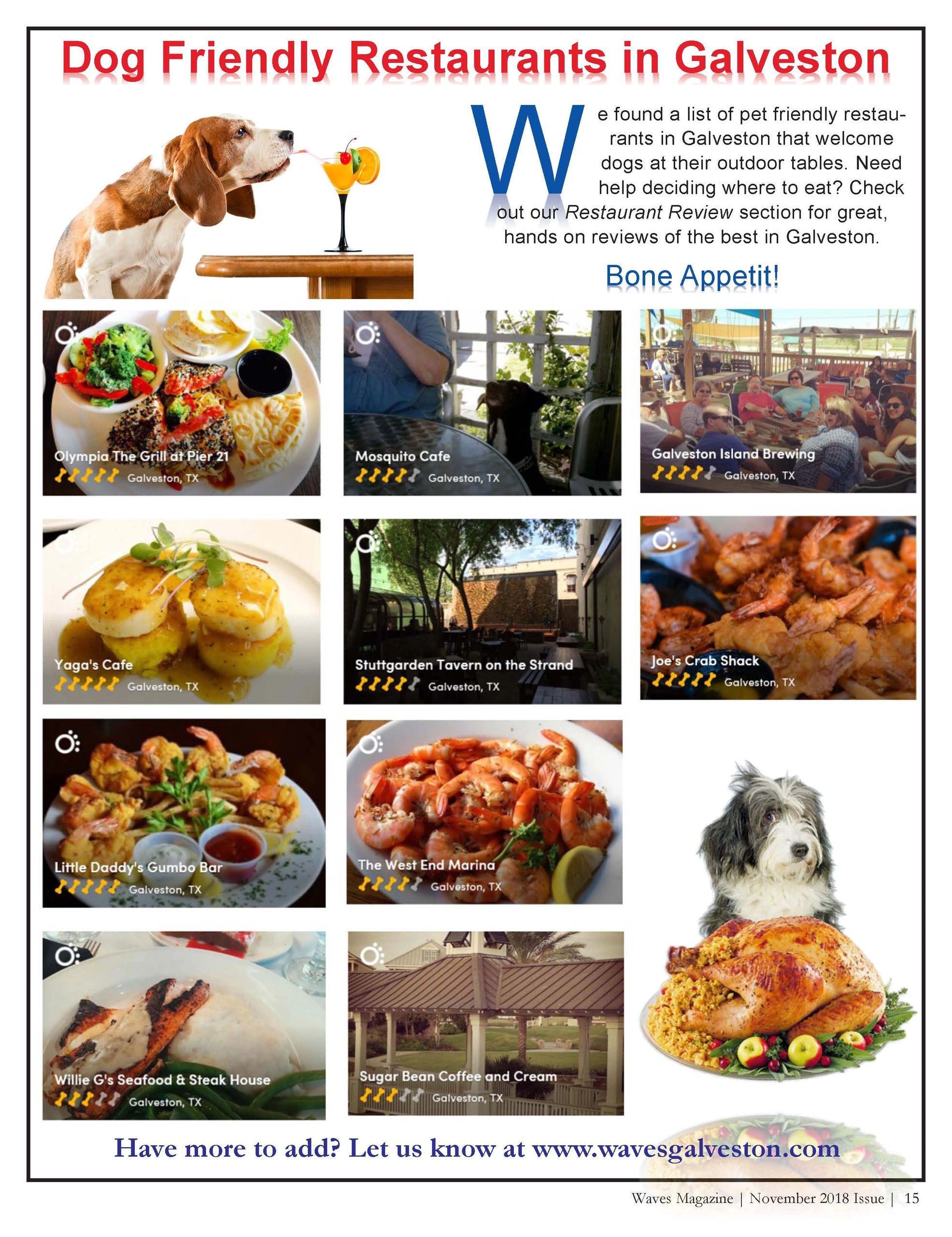 Dog Friendly Restaurants in Galveston By Waves Galveston