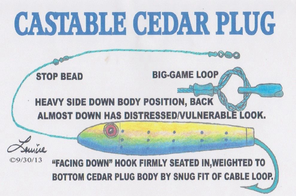 Castable Cedar Plugs - 101