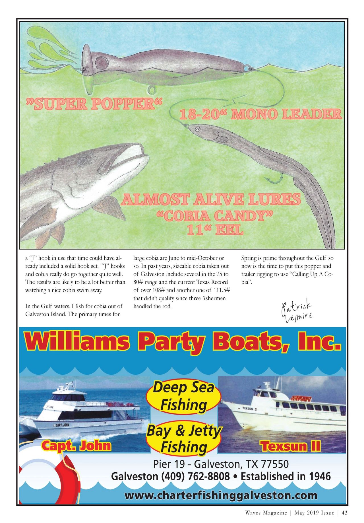 almost cobia season..what lures to use? - The Hull Truth - Boating