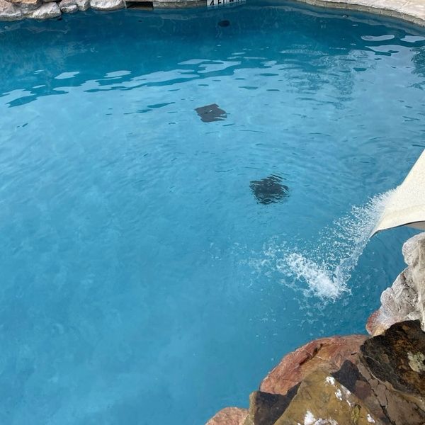 Clean Commercial pool with slide