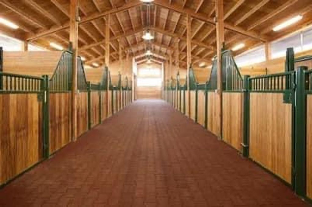 Facility kohr values equine