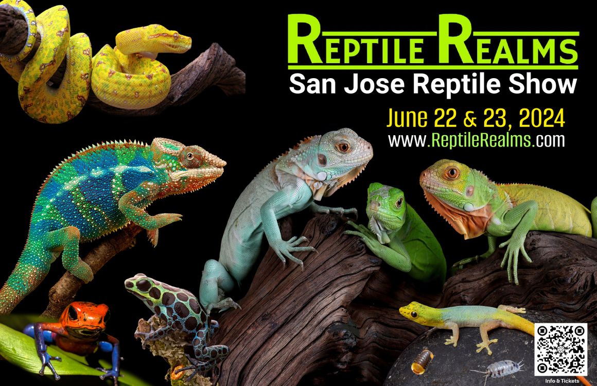 2024 San Jose Reptile Show