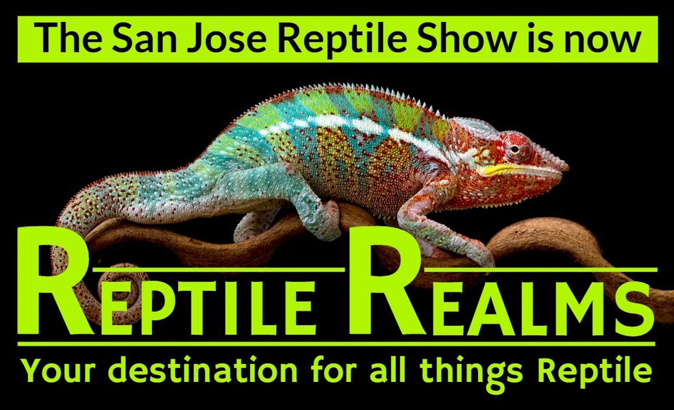 2023 San Jose Reptile Show