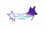 Star N Cardigan Corgis