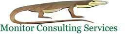 Monitor Consulting Services Pty Ltd
