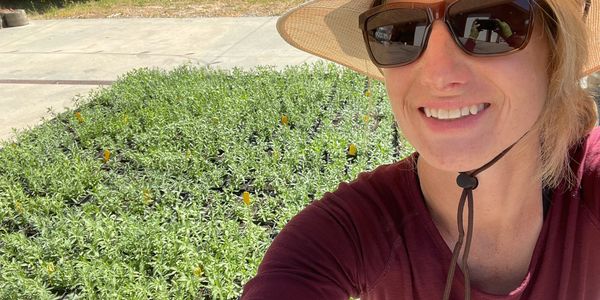 A woman in front of lavender plants