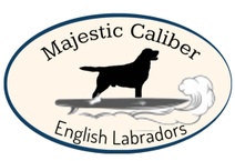 Majestic Caliber Labs